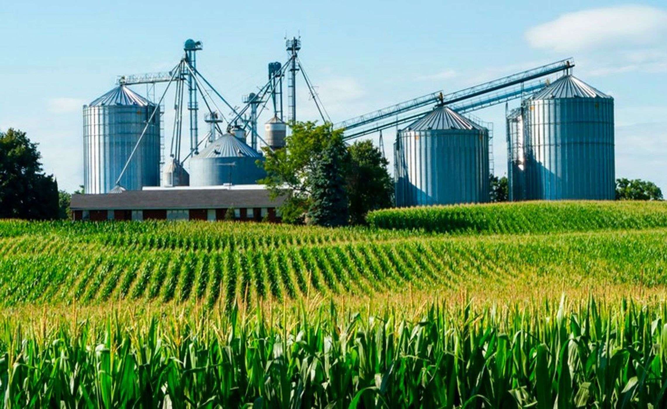 Mineria y Agricultura : Se modifica el Reglamento ambiental para Agricultura